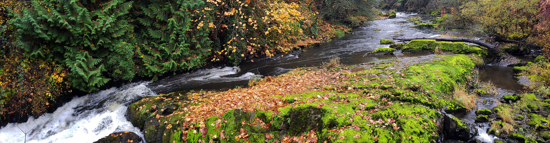 Picture of Tumwater River Rapids 1920px wide