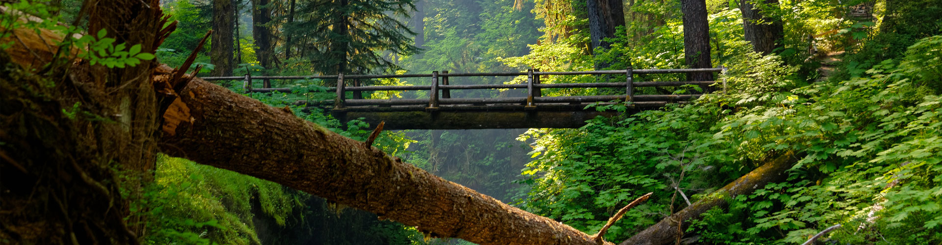 Sol Duc Falls Bridge 1920px Jumbotron