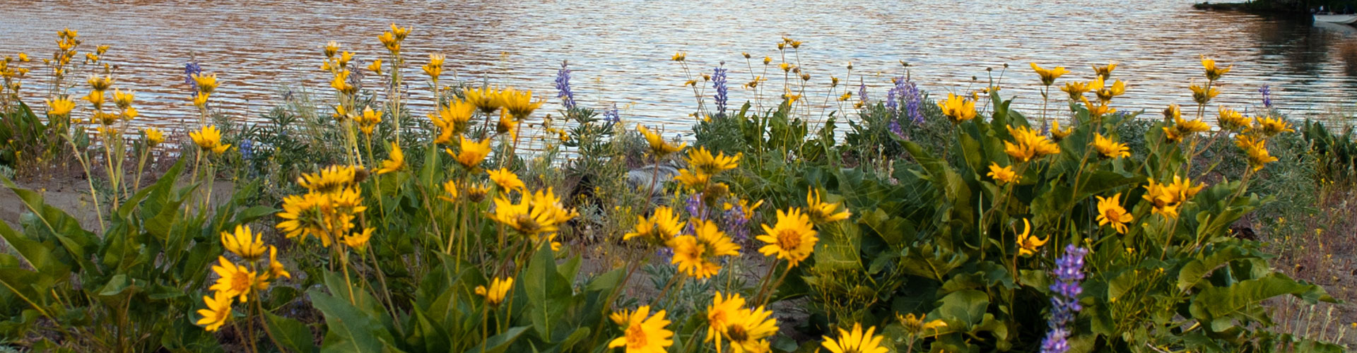 Columbia Hills Park Lake Devils Punch Bowl jumbotron images