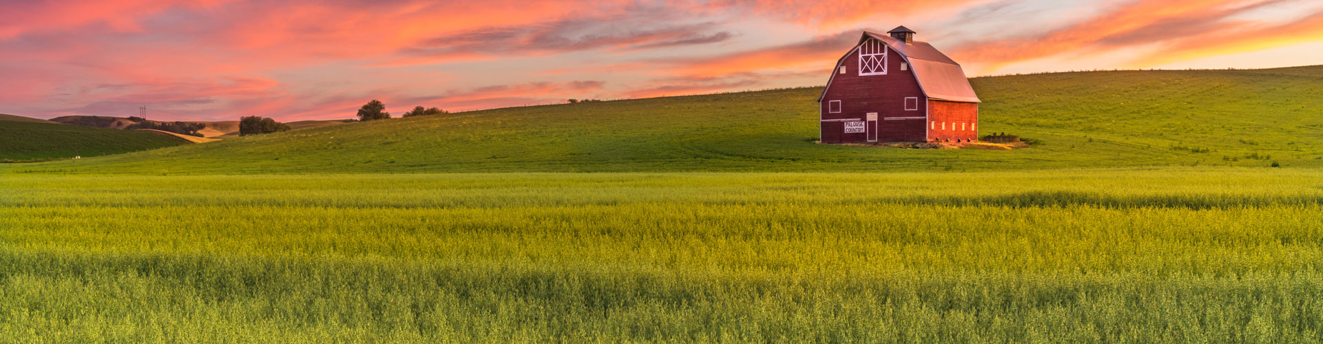 Palouse region field 1920px by 500px jumbotron image