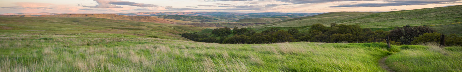 Columbia Hills state park in the spring 1920px x 300px jumbotron