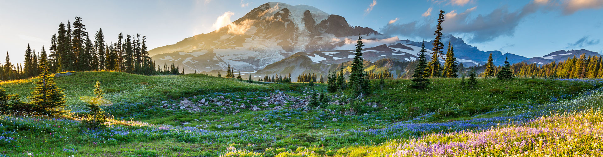 Mount Rainier in summer bloom 1920px by 500px jumbotron