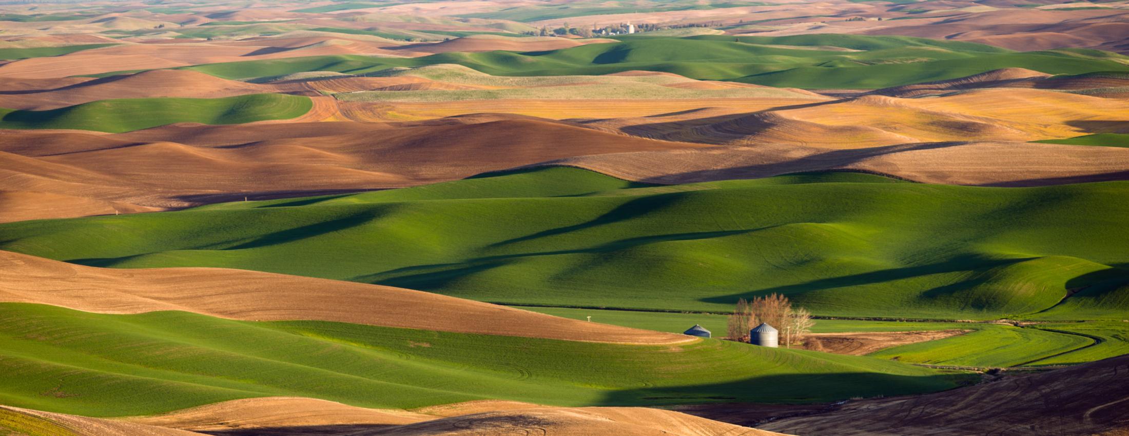 Palouse Steptoe Butte Farmland