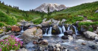 Waterfall with flora and fauna