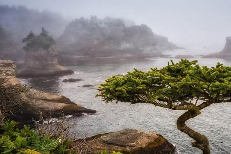 Picture of Cape Fattery used as the thumbnail for the ARNP Title Change page