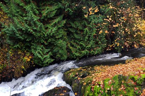 Picture of Tumwater river rapids used as the Nursing Technician thumnail