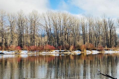 Picture of snow on the Wanatchee River Bank used as the Workforce Dashboard thumbnail