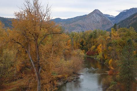 Picture of the Wenatchee River during the fall in Leavenworth used for the Nursing Workforce Reports thumbnail