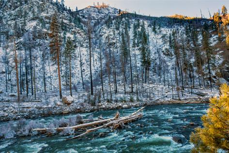 Winter leaves snow ice Wenatchee River Stevens Pass image used for the Discipline Dashboard thumbnail