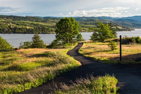Picture of the Catherine Creek Trail Columbia Hills riverbanks used as the thumbnail for Nursing Student Information