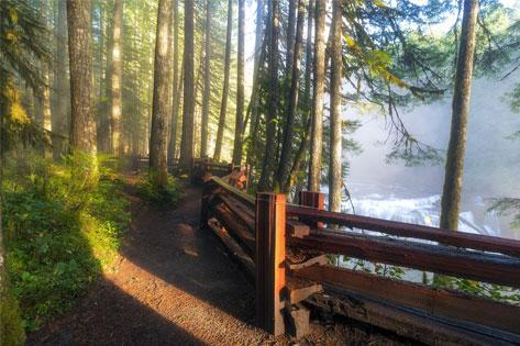 Picture of Lewis River used as the Nursing Career Pathways PDF thumbnail