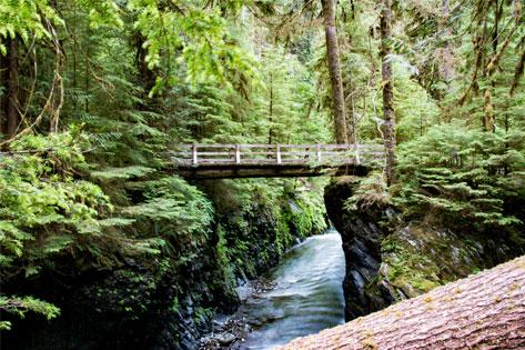 Picture of Olympic National Park used as the Plan of Correction Information thumbnail