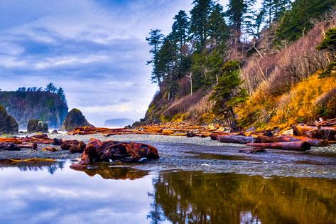 Picture of the Ruby Beach during the daytime used as the Nursing Program Pass Rates thumbnail