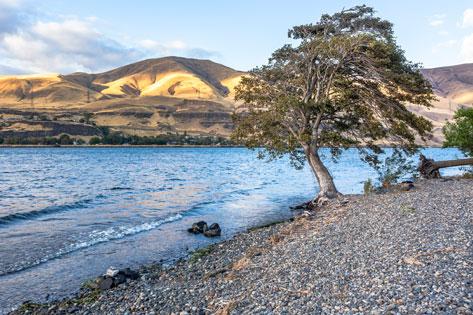 Picture of a scenic view of the Columbia River in Celilo Park used as the thumbnail for Refresher Courses