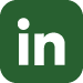 LinkedIn Button